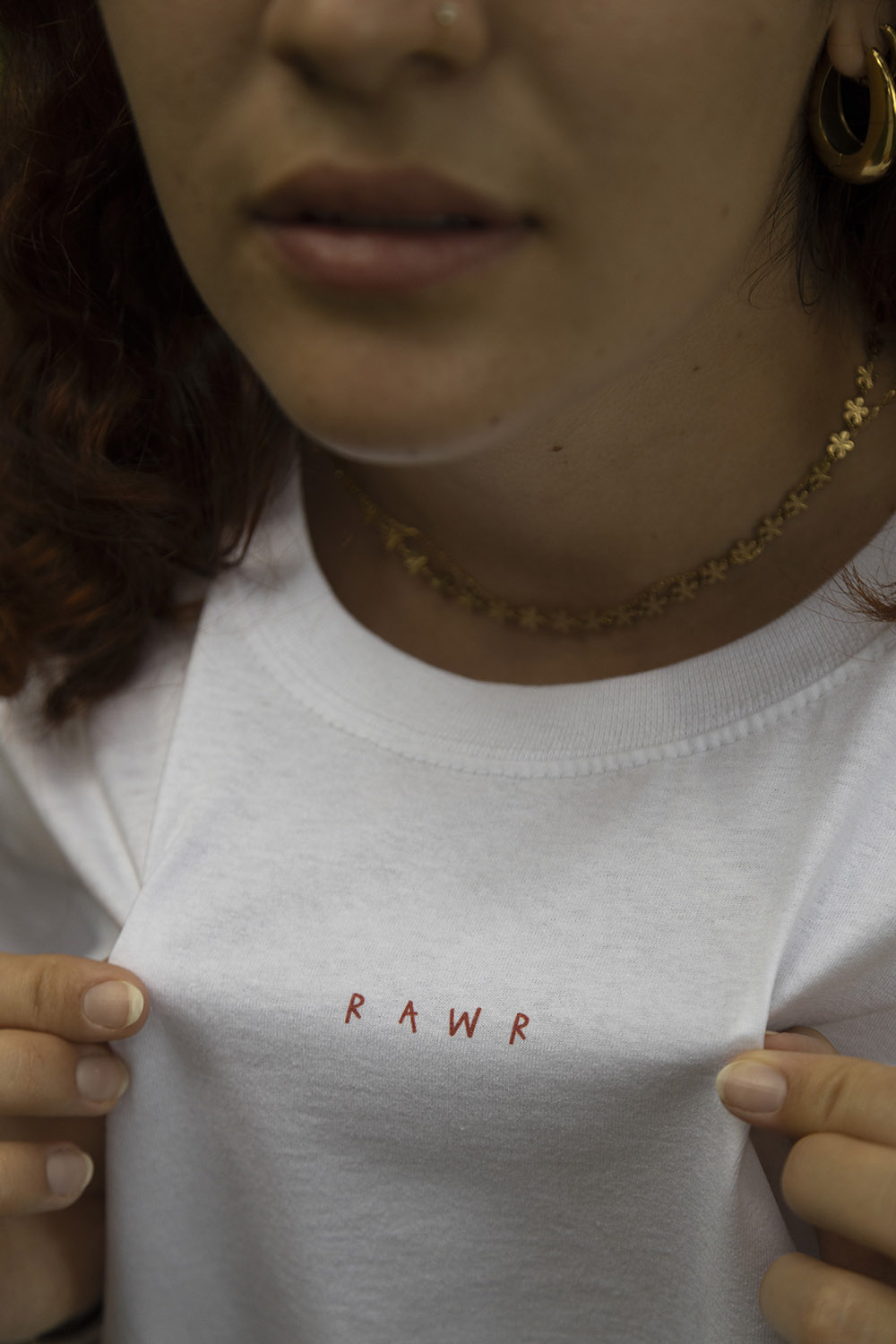 Dino Shirt 1