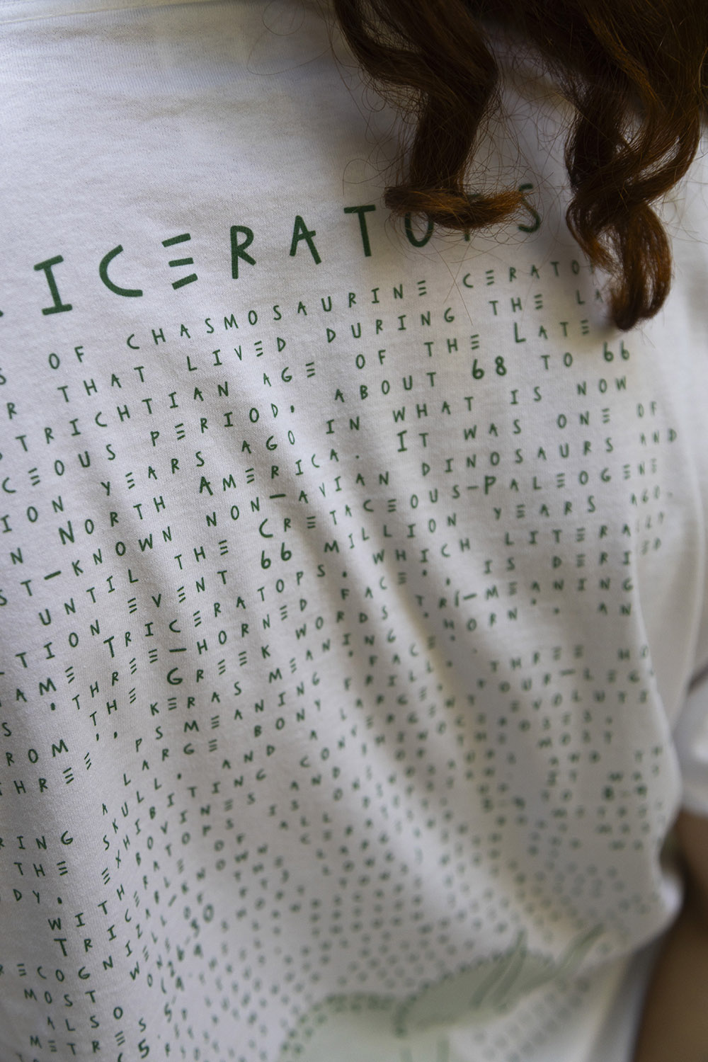 Dino Shirt 10